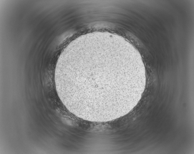 X0000080200824200612302335