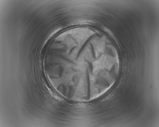 X0000080200827200612302335