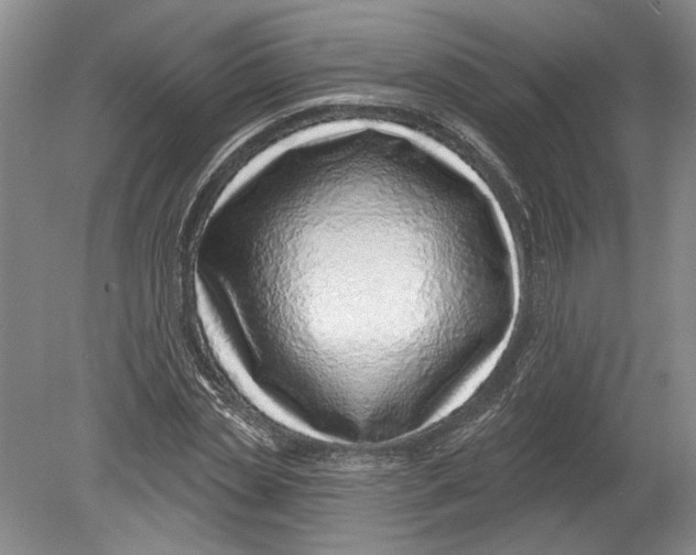 X0000080200829200612302335