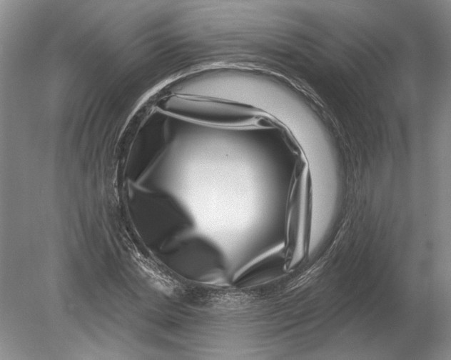 X0000080200830200612302335