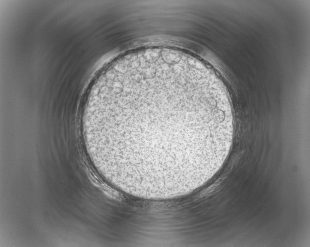 X0000080200832200612302335