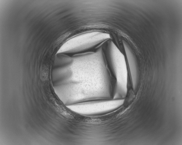 X0000080200833200612302335