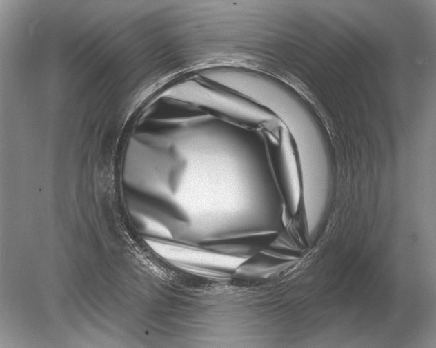 X0000080200834200612302335