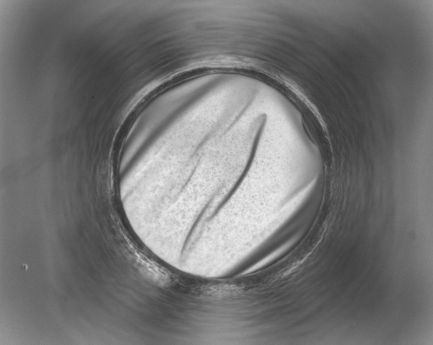 X0000080200837200612302335