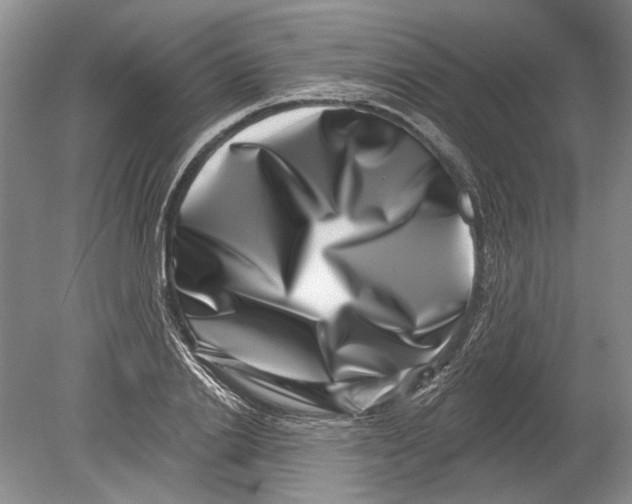 X0000080200838200612302335