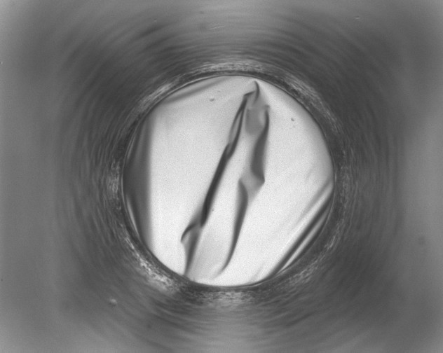 X0000080200841200612302335