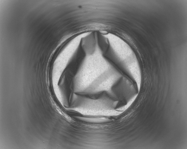 X0000080200843200612302336