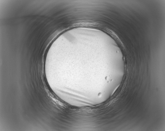 X0000080200844200612302336