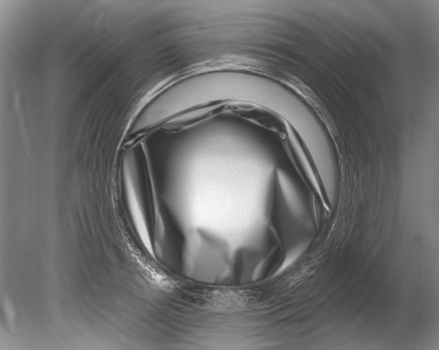 X0000080200850200612302336