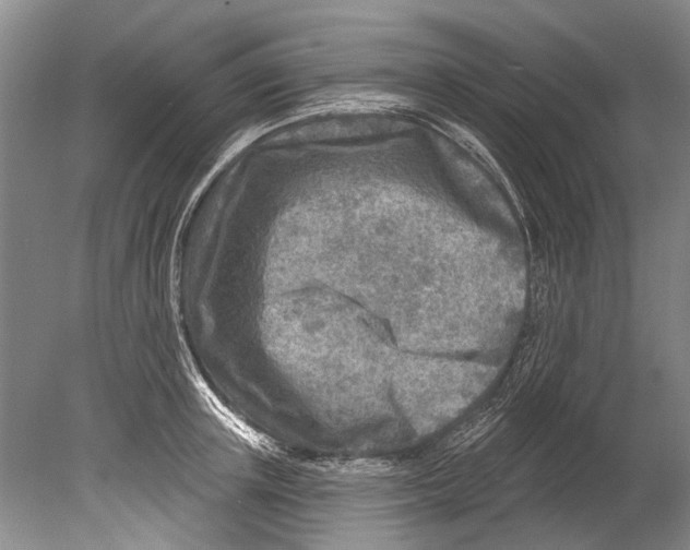 X0000080200851200612302336