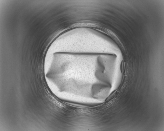 X0000080200852200612302336