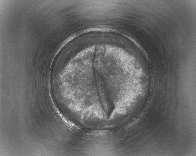 X0000080200853200612302336