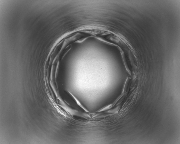 X0000080200854200612302336