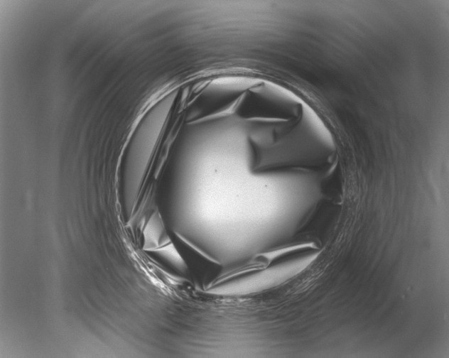 X0000080200858200612302336