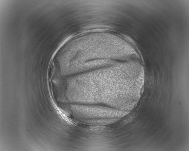 X0000080200859200612302336