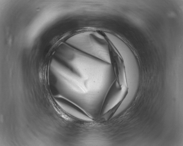 X0000080200862200612302336