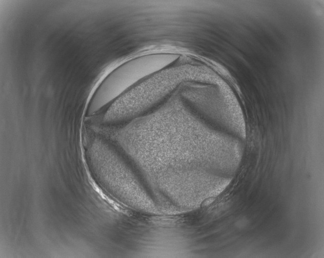 X0000080200863200612302336