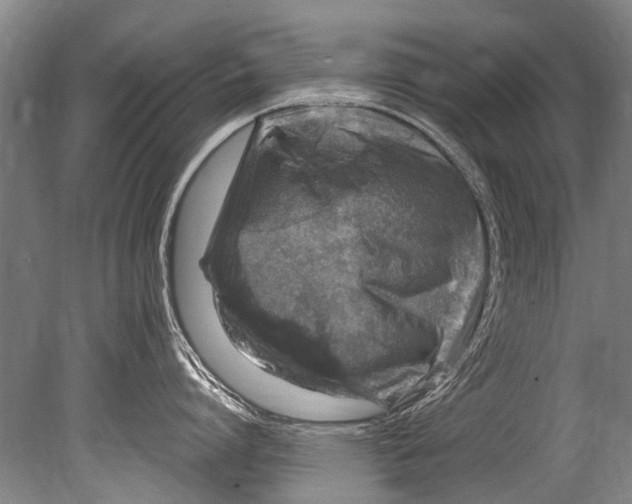 X0000080200864200612302336