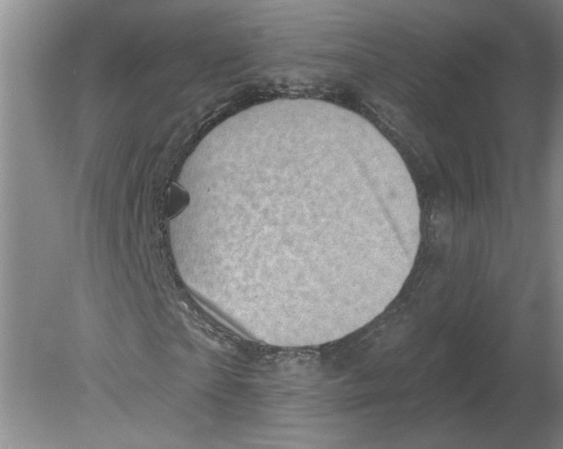 X0000080200865200612302335