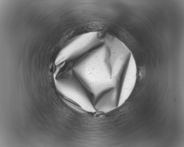 X0000080200867200612302335