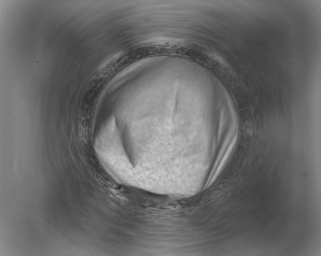 X0000080200869200612302335