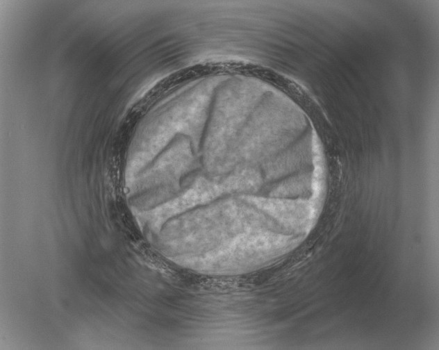 X0000080200871200612302335