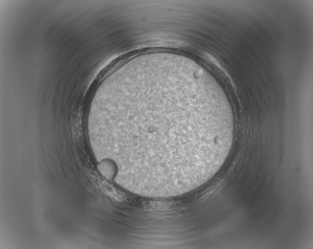 X0000080200875200612302335