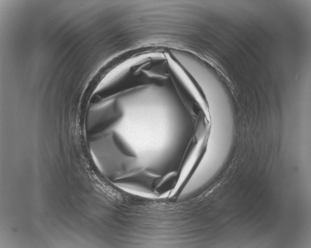 X0000080200880200612302335