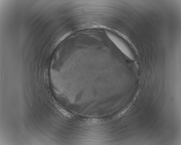 X0000080200881200612302335