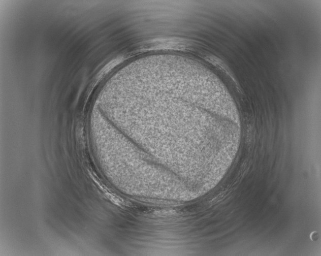 X0000080200882200612302335