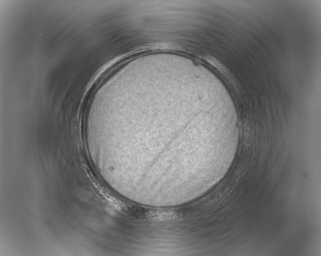 X0000080200886200612302335