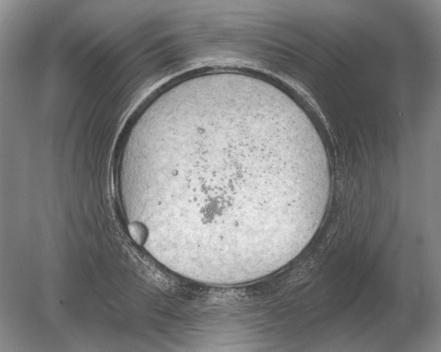 X0000080200887200612302335