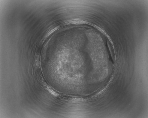 X0000080200889200612302335