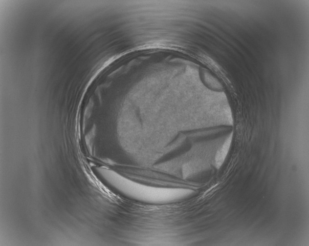 X0000080200892200612302335