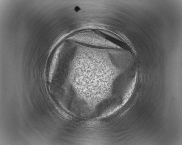 X0000080200893200612302335