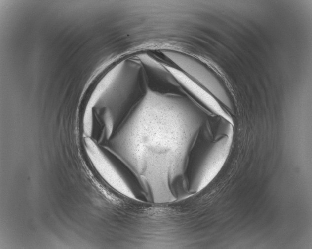 X0000080200894200612302335