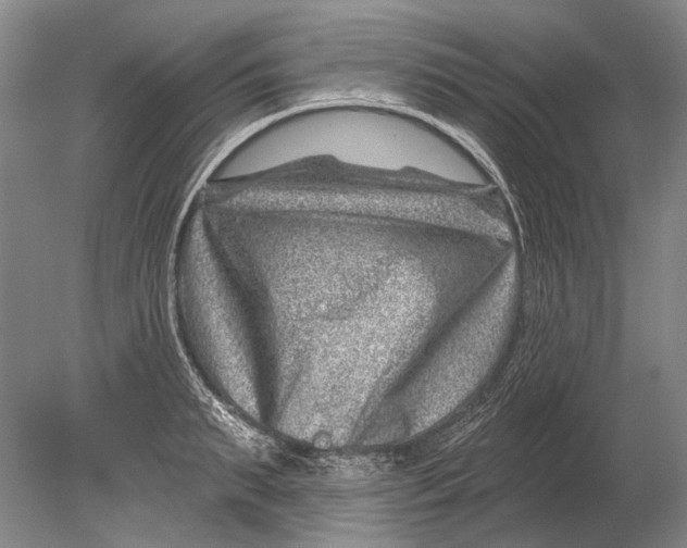 X0000080200895200612302335