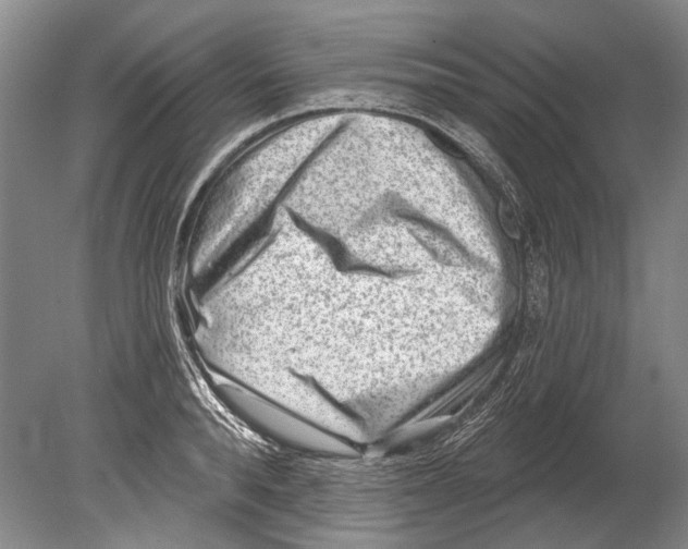 X0000080200896200612302335