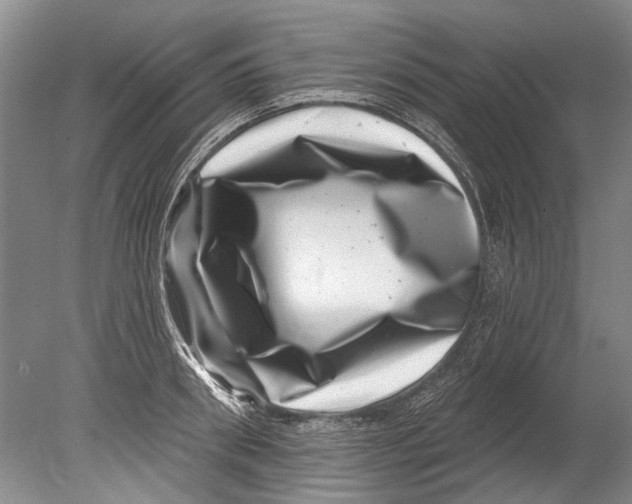 X0000080200898200612302335