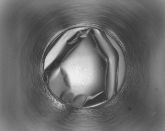 X0000080200900200612302334