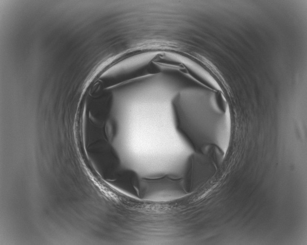 X0000080200901200612302334