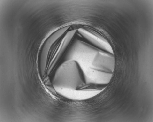 X0000080200902200612302334