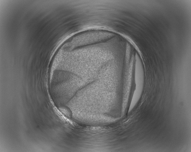 X0000080200903200612302334