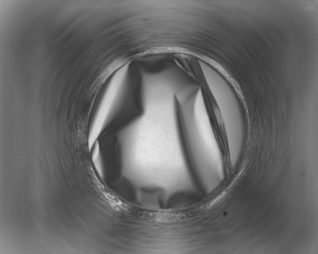 X0000080200905200612302334