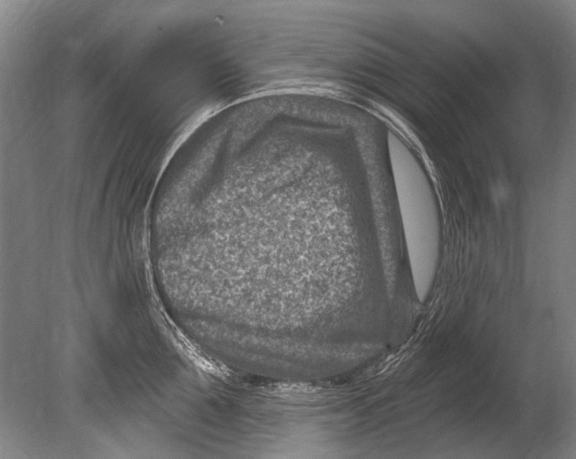 X0000080200907200612302334