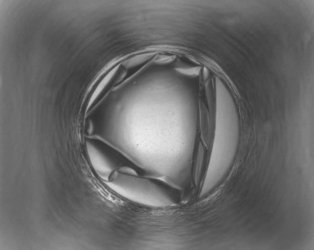 X0000080200908200612302334