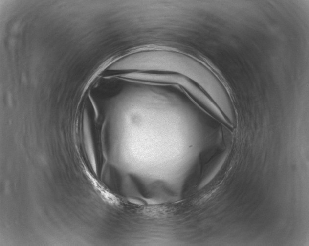 X0000080200909200612302334