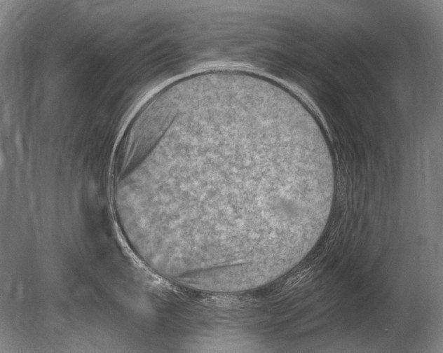 X0000080200911200612302334