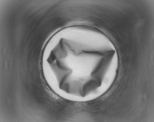 X0000080200912200612302334