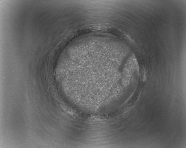 X0000080200913200612302333